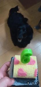 待ちナビ　せいこ