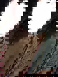 沖縄本舗　なつ-NATU-