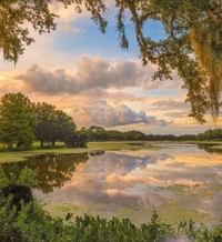 フェアリー【鹿児島店】　りりこ【綺麗すぎる未経験美女】