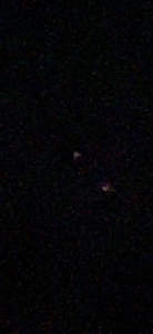 momo♥霧島店　新人未経験りのちゃん♪