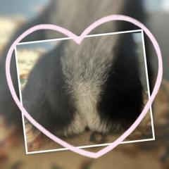 MANIN-ONREIマン淫御礼　風月（ふづき）色白巨乳美人