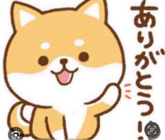 CLUB LUMINE　Haru【ハル】