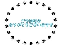 MANIN-ONREIマン淫御礼　菜々緒（ななお）超美人