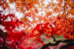 シングルママ　めい☆清楚綺麗妻