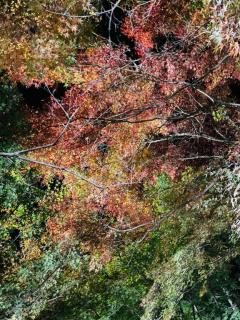 パールボディ(大分市) なな