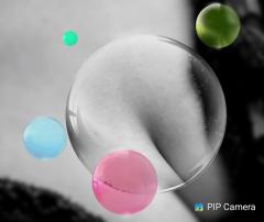 鶴富屋敷 ヒナ、(癒しの女王)