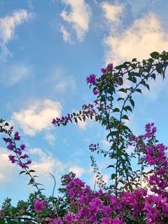 高級女性用風俗・性感エステLOVE愛撫(らぶあいぶ)　♂春馬☆HARUMA