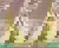 沖縄本舗　みき-MIKI-