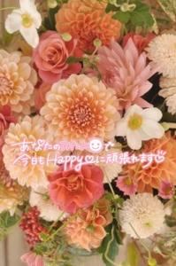 待ちナビ　ひろか