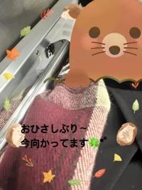 待ちナビ　かえで