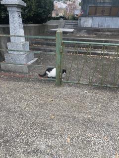 都城デリヘル ゲット24時間　あおい