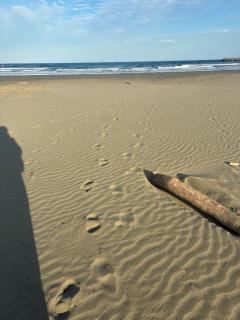 Spica(すぴか)　新★ウル★完全業界初激かわ