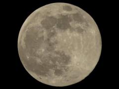 ミストレス(大分市) レイラ(痴女・女王様)