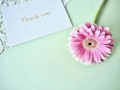 鹿児島ちゃんこ薩摩川内店(薩摩川内市) なな