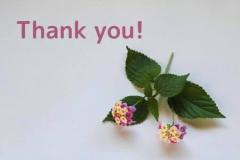 鹿児島ちゃんこ薩摩川内店(薩摩川内市) なな