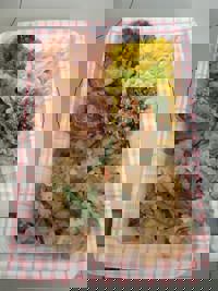 大人の遊園痴「スピーディー」(宮崎市) らむ（全てに興味あり）