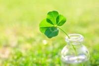 待ちナビ(福岡市) のりこ