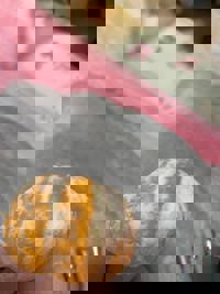 宮崎ちゃんこ中央通店　さや