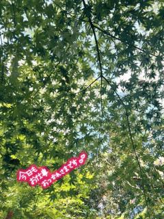 ラブ♡エル霧島店　♡スミレ♡