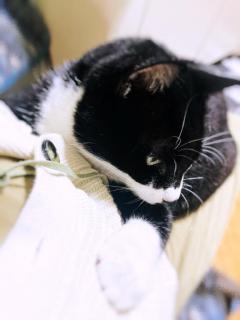 La Rouge（中津市） 和音【かのん】