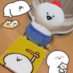 CLUB LUMINE　Mashiro【ましろ】