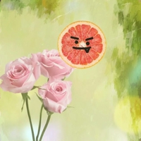 宮崎ちゃんこ都城店　うみ