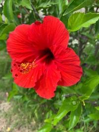 待ちナビ　らいあ