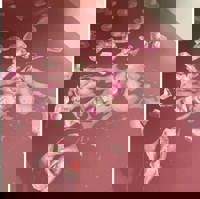 CLUB ULTRA　ほのか