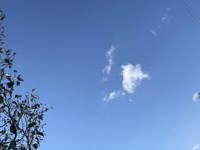 ママらんど宮崎店　りんか☆極上の美熟女