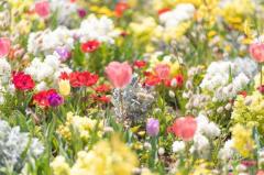 Spica(すぴか)　★ラン★超淫乱美女降臨