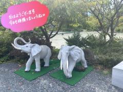 ラブ♡エル霧島店　♡フウカ♡