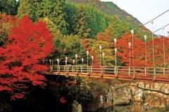 一夜の愛人(大分市) もか