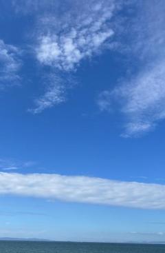 キャンディ　ミホ