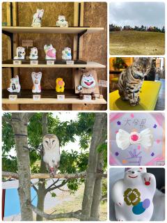 ご主人様いらっしゃい 大分店　神舌ゆい♡最強エロ女（痩せてきた）