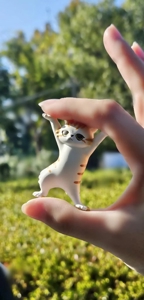 マドンナSANSAIN　りく