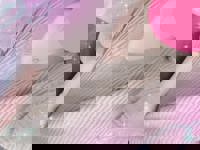 宮崎ちゃんこ中央通店　みく