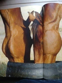 マドンナSANSAIN　りく