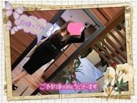 マドンナSANSAIN　百合