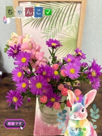 鹿児島ちゃんこ 霧島店　しずか