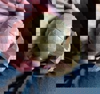 harmonyハーモニー　かおるこ(kaoruko)