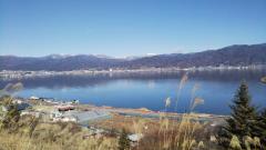 鹿児島ちゃんこ薩摩川内店　きなこ