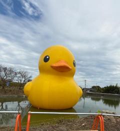 JaPON　歩美ｱﾕﾐ