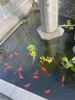 おはようございます