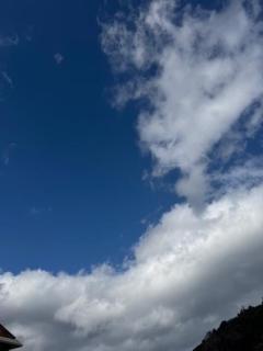 鹿児島ちゃんこ薩摩川内店　ももこ