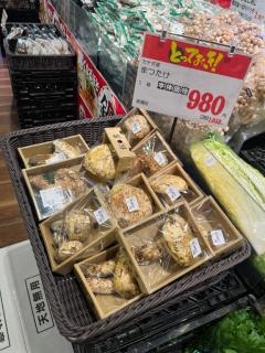 CLUB LUMINE(中津市) Haru【ハル】