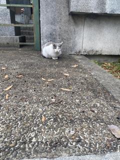 朝から寒いですね🥶