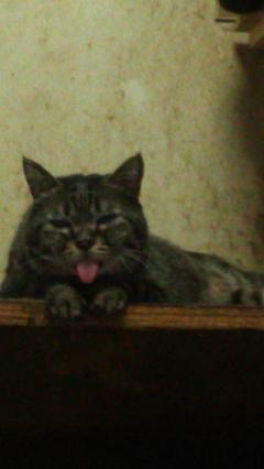 保険屋のおばちゃん(大分市) まり