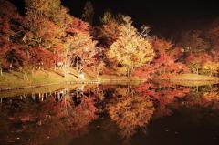 人妻24時　しずく