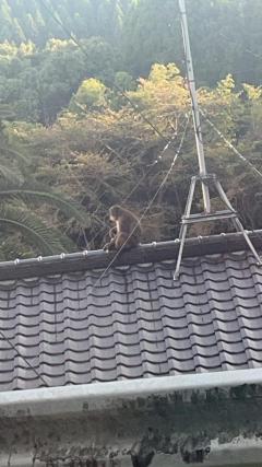 人妻ステーションポータブル　さよ