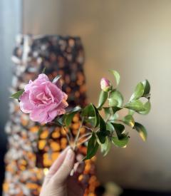 都城あなたの恋人　